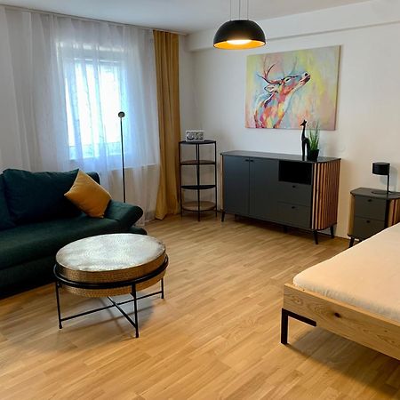 Air-Conditioned, Quiet Apartment With A Terrace In Center Of St Poelten - Smart Tv Sankt Poelten Eksteriør bilde