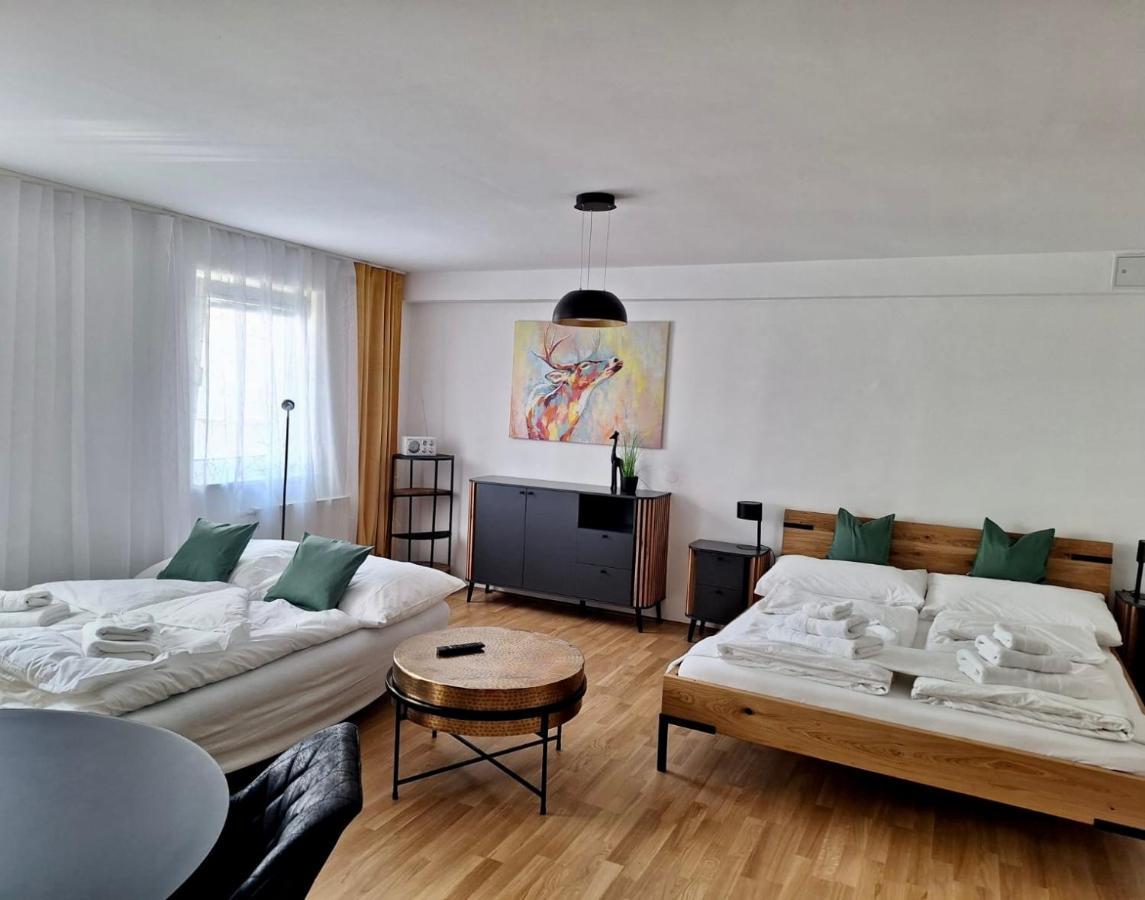 Air-Conditioned, Quiet Apartment With A Terrace In Center Of St Poelten - Smart Tv Sankt Poelten Eksteriør bilde